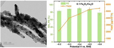 Graphical abstract: Electrocatalytic nitrate reduction over Cu2O nanowires partially decorated with Fe2O3 nanoparticles
