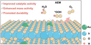Graphical abstract: One-dimensional gold-doped monoclinic iridium oxide nanoribbons for high-efficiency acidic oxygen evolution reaction