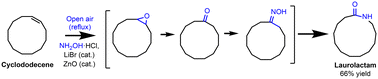 Graphical abstract: One-pot synthesis of laurolactam from cyclododecene and air