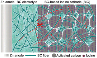 Graphical abstract: High-iodine-loading quasi-solid-state zinc–iodine batteries enabled by a continuous ion-transport network