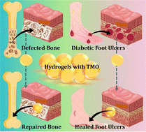 Graphical abstract: Unveiling the development principles and mechanistic understanding of controlled drug delivery strategies for chronic bone defects and diabetic wound management