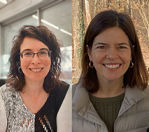 Graphical abstract: Introduction to Advances in nanoporous metal films: production methods and applications