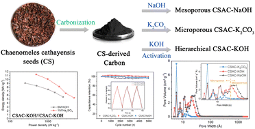 Graphical abstract: Hierarchically porous carbon derived from chaenomeles cathayensis seeds for high-performance supercapacitors