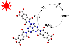 Graphical abstract: Polyimide with enhanced O2 activation for hydrogen peroxide photosynthesis