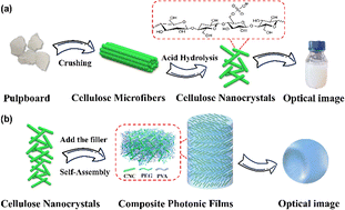 Graphical abstract: Flexible and waterproof structural-color photonic composite films based on cellulose nanocrystals/poly(vinyl alcohol)/poly(ethylene glycol): fabrication and performance evaluation
