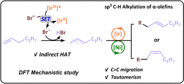 Graphical abstract: Mechanistic investigation of the C(sp3)–C(sp3) coupling reaction through synergistic activation of C–H/C–Br bonds by Ir/Ni catalysts