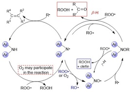 Graphical abstract: Theoretical investigations of the catalytic antioxidation mechanism of diarylamine and the coordination effects of Fe(iii) and Fe atoms