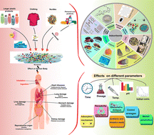 Graphical abstract: Current progress in sorptive eradication of microplastics from aqueous media: a review