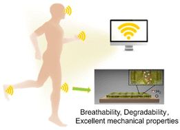 Graphical abstract: A DMSO-modified porous organogel with breathability and degradability for wearable electronics