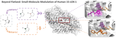 Graphical abstract: Activating human 15-lipoxygenase-1 beyond flatland: discovery of non-aromatic modulators