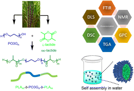 Graphical abstract: Bio-based poly(1,3-trimethyleneglycol-co-lactide) triblock copolymers: a promising platform for biomedical applications