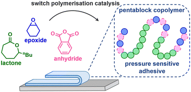 Graphical abstract: Pressure-sensitive adhesives from polyester pentablock copolymers