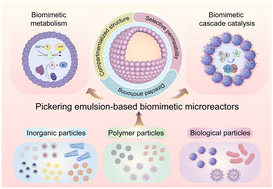 Graphical abstract: Pickering emulsion-based biomimetic microreactors
