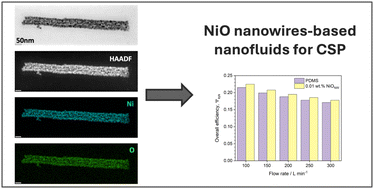 Graphical abstract: NiO nanowires in nanofluids based on a PDMS-type fluid