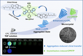 Graphical abstract: Circularly polarized room-temperature phosphorescence in microcrystals via aggregation-induced chirality transfer