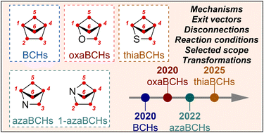 Graphical abstract: Polysubstituted bicyclo-[2.1.1]-hexanes as benzene isosteres for medicinal chemistry