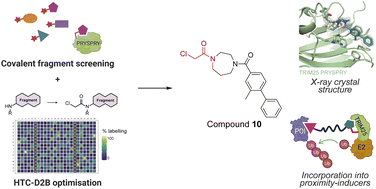 Graphical abstract: Discovery and optimisation of a covalent ligand for TRIM25 and its application to targeted protein ubiquitination