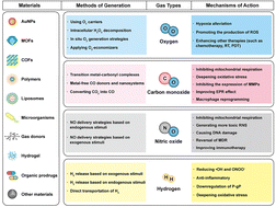 Graphical abstract: Gas-mediated cancer therapy: advances in delivery strategies and therapeutic mechanisms