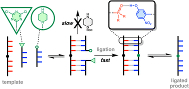 Graphical abstract: Template-directed ligation of recognition-encoded melamine oligomers
