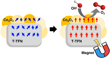 Graphical abstract: Ferromagnetic–antiferromagnetic interfaces in MAX phase electrocatalysts: a spin-driven platform for enhanced oxygen evolution reaction