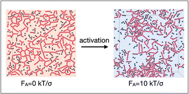 Graphical abstract: Activation of colloidal patchy particle networks