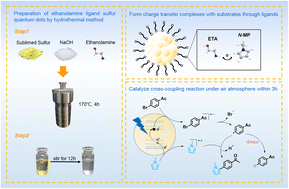 Graphical abstract: Sulfur quantum dots-assisted functionalization of aryl radicals towards metal-free cross-coupling