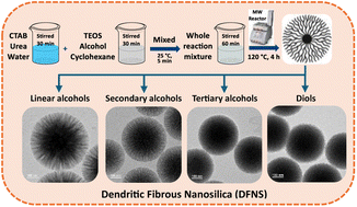 Graphical abstract: Investigating the impact of alcohols on the morphology and structure of dendritic fibrous nanosilica (DFNS)