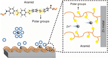 Graphical abstract: Achieving superior stability and cycle life in zinc anodes with aramid surface modification