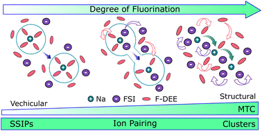 Graphical abstract: Beyond vehicular transport: fluorination-induced structural diffusion in ether electrolytes