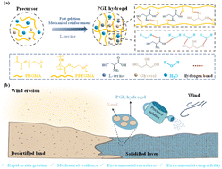 Graphical abstract: A sustainable l-serine-induced hydrogel with ultrafast gelation, mechanical resilience, and environmental robustness for efficient sand stabilization