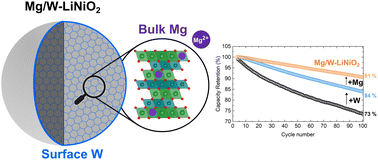 Graphical abstract: Enhanced cycling stability of LiNiO2 cathodes through a Mg/W dual-cation modification strategy