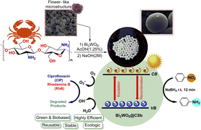 Graphical abstract: Green flower-like Bi2WO6 supported on chitosan beads: a powerful and sustainable visible-light-driven water treatment photocatalyst