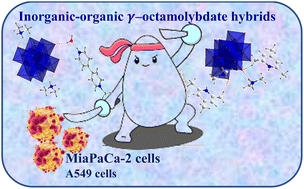 Graphical abstract: Inorganic–organic γ-octamolybdate hybrids for targeted anticancer applications against MiaPaca-2 and A549 cells