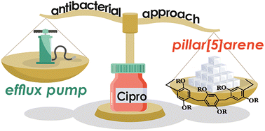 Graphical abstract: A biomimetic phage-inspired supramolecular system based on glucose-conjugated pillar[5]arene with ciprofloxacin hydrochloride