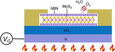 Graphical abstract: Interface engineering of 2D van der Waals heterostructures for high-temperature optical communication