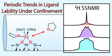 Graphical abstract: Labilized ligands under ultra-confinement: a solid-state 2H NMR investigation of Ln(BH4)2(THF)2/HY30
