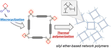 Graphical abstract: Synthesis of network polymers composed of well-defined silyl ether macrocycles