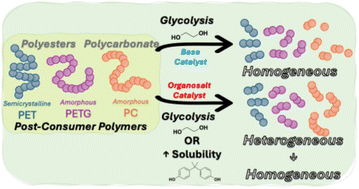 Graphical abstract: Solubility-limited depolymerization kinetics in the glycolysis of carbonyl-containing polymers