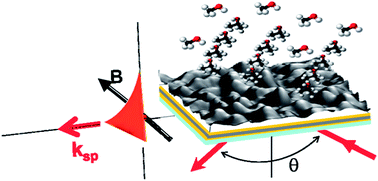 Graphical abstract: Enhanced gas sensing performance of TiO2 functionalized magneto-optical SPR sensors
