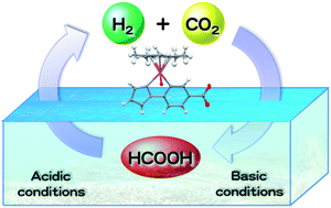 Graphical abstract: Catalytic interconversion between hydrogen and formic acid at ambient temperature and pressure