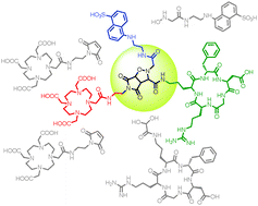 Graphical abstract: Site-selective three-component reaction for dual-functionalization of peptides