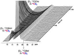 Graphical abstract: In vitro visualization of betaine aldehyde synthesis and oxidation using hyperpolarized magnetic resonance spectroscopy