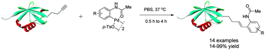 Graphical abstract: Storable palladacycles for selective functionalization of alkyne-containing proteins