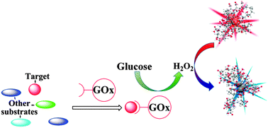 Graphical abstract: Oxidant-resistant imaging and ratiometric luminescence detection by selective oxidation of silver nanodots