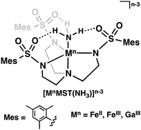 Graphical abstract: Synthesis, structure and reactivity of FeII/III–NH3 complexes bearing a tripodal sulfonamido ligand