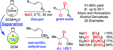 Graphical abstract: Convenient in situ generation of various dichlorinating agents from oxone and chloride: diastereoselective dichlorination of allylic and homoallylic alcohol derivatives
