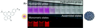 Graphical abstract: A novel strategy to design latent ratiometric fluorescent pH probes based on self-assembled SNARF derivatives