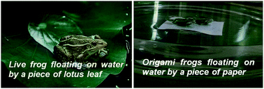 Graphical abstract: Flexible superhydrophobic paper with a large and stable floating capacity