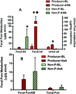 Graphical abstract: Pomegranate extract induces ellagitannin metabolite formation and changes stool microbiota in healthy volunteers