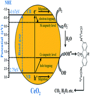 Graphical abstract: Ni, Co and Ni–Co codoping induced modification in shape, optical band gap and enhanced photocatalytic activity of CeO2 nanostructures for photodegradation of methylene blue dye under visible light irradiation